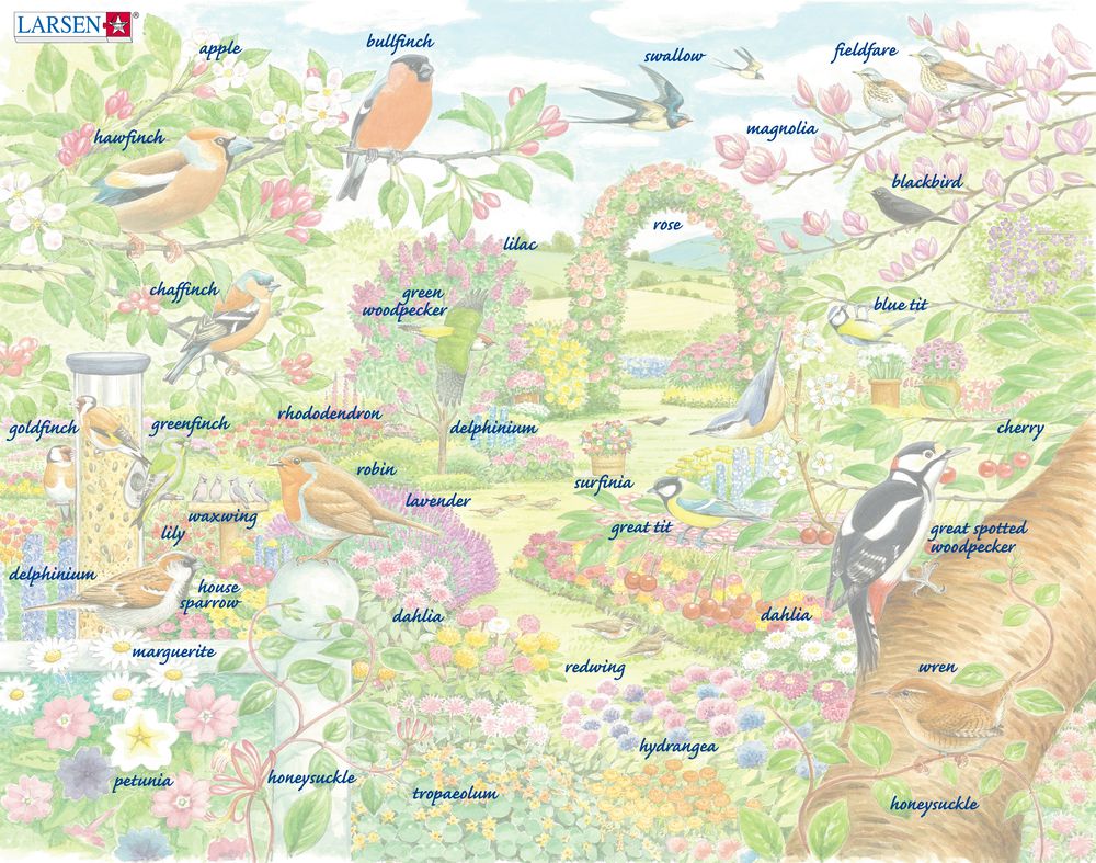 FH37 - Colorful Flowers and Birds in a Beautiful Garden ()