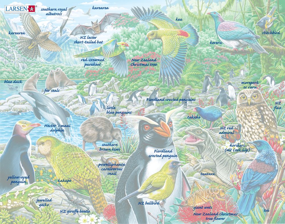 FH44 - New Zealand's Picturesque Wildlife ()