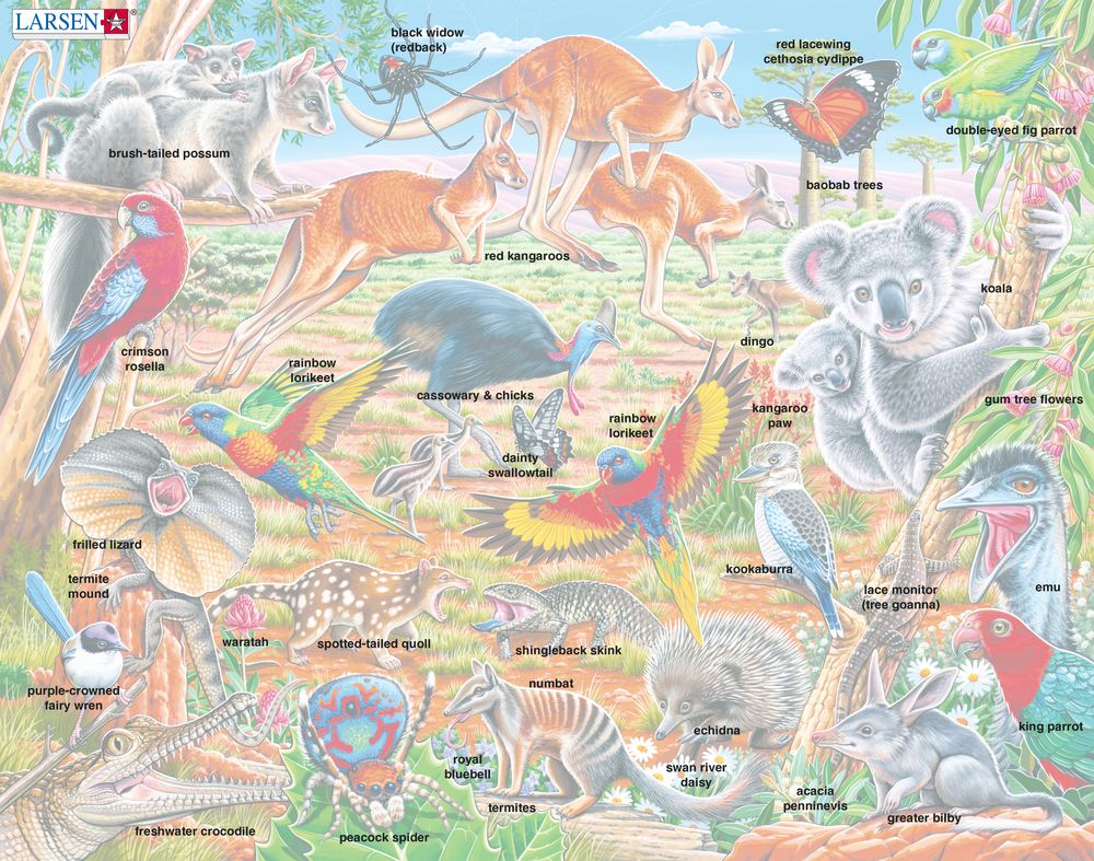 FH45 - The unique fauna of Australia ()