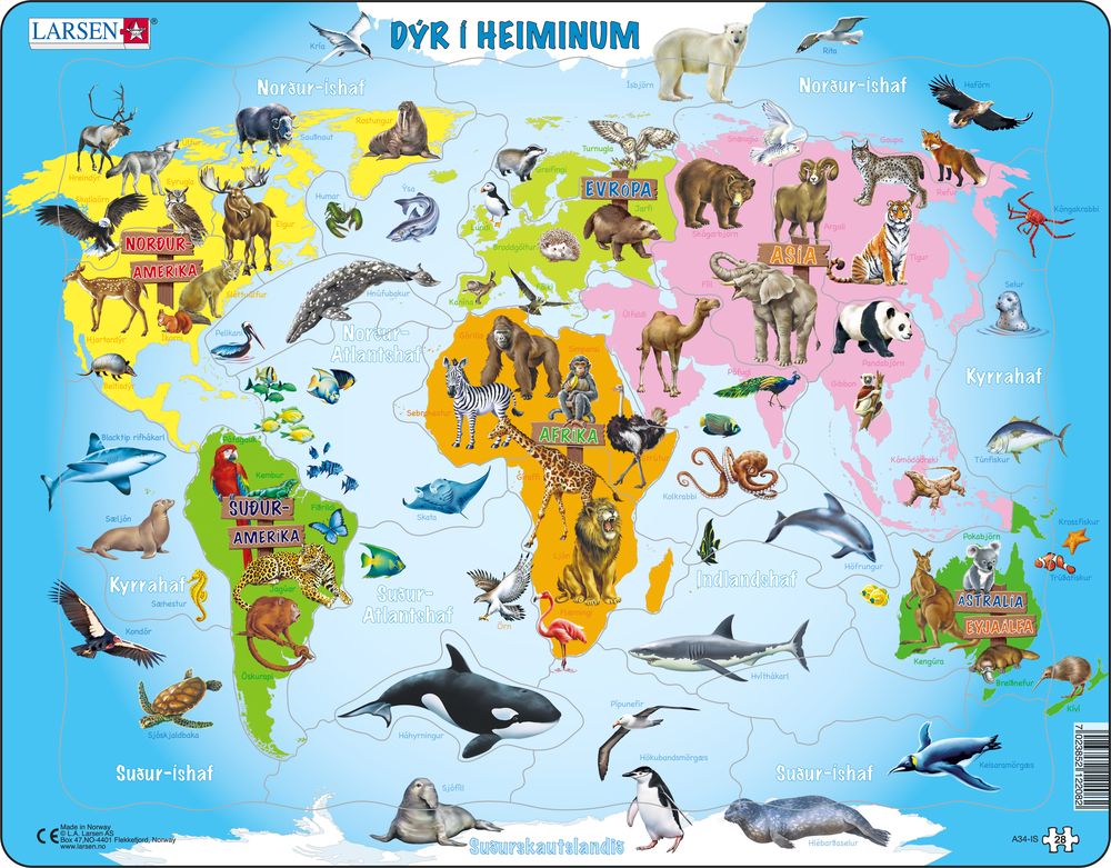 A34 - Animals of the World (Icelandic)