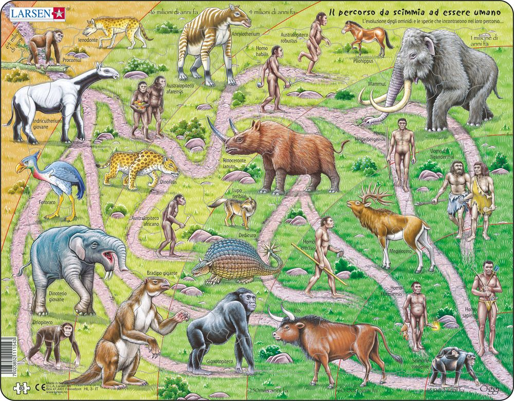 HL3 - The Road from Ape to Human (Italian)