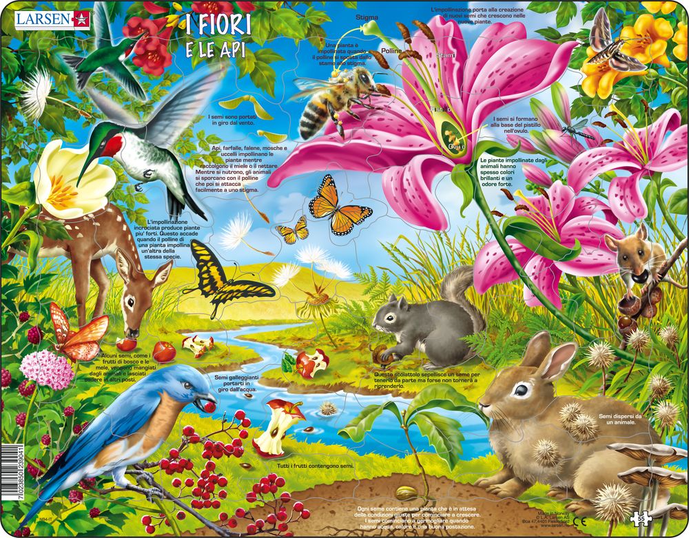 NB4 - The flowers and the Bees (Italian)