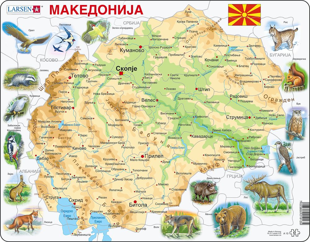 A13 - Macedonia Physical with Animals (Macedonian)
