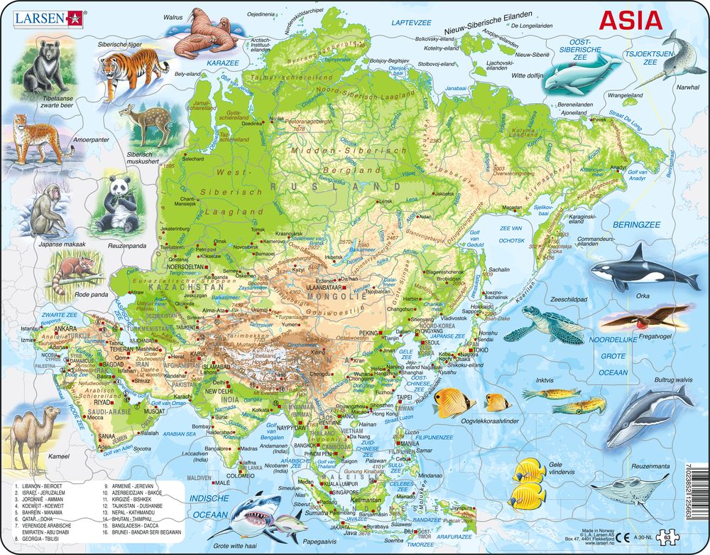 A30 - Asia Topographic Map (Dutch)