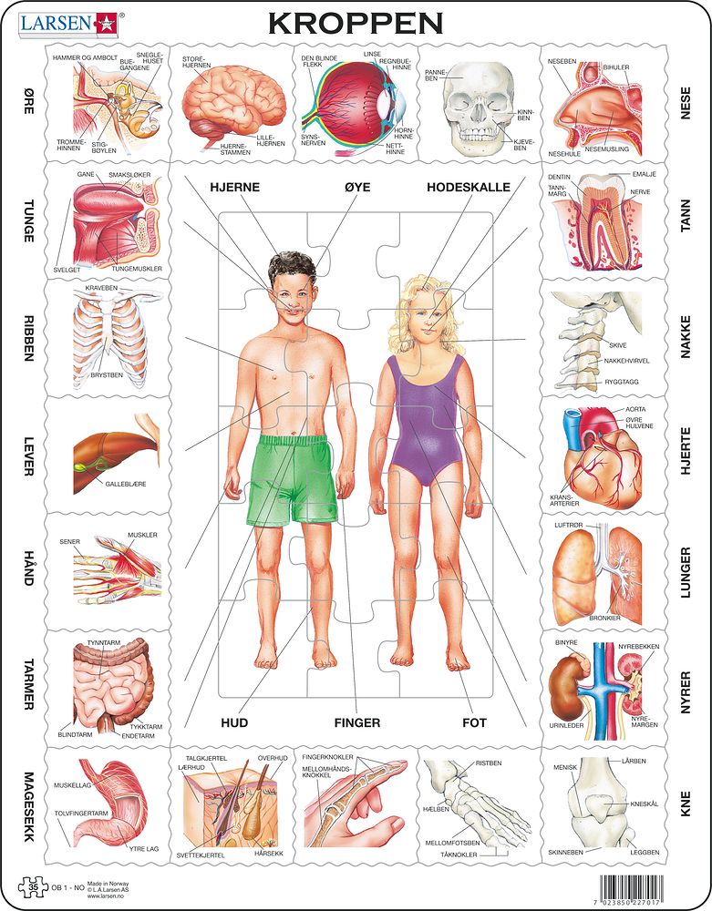 OB1 - Our Body (Norwegian)