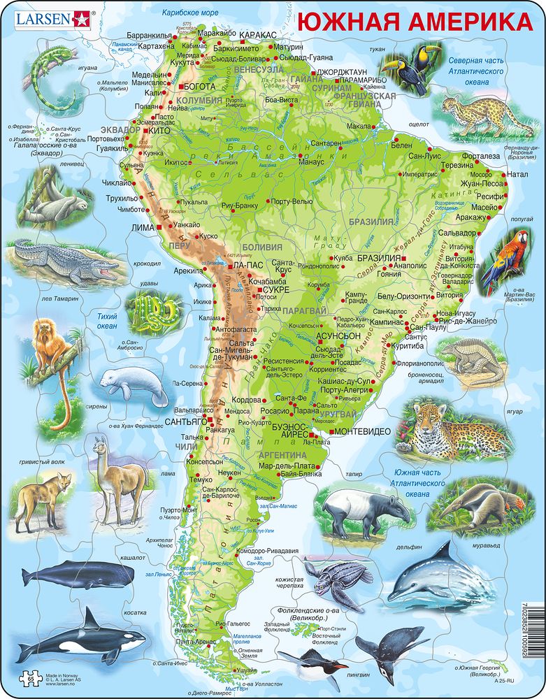 A25 - South America Topographic Map (Russian)
