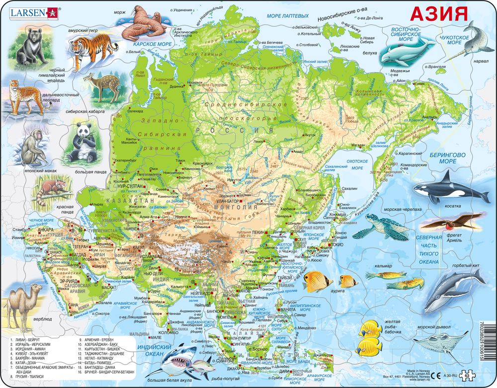 A30 - Asia Topographic Map (Russian)