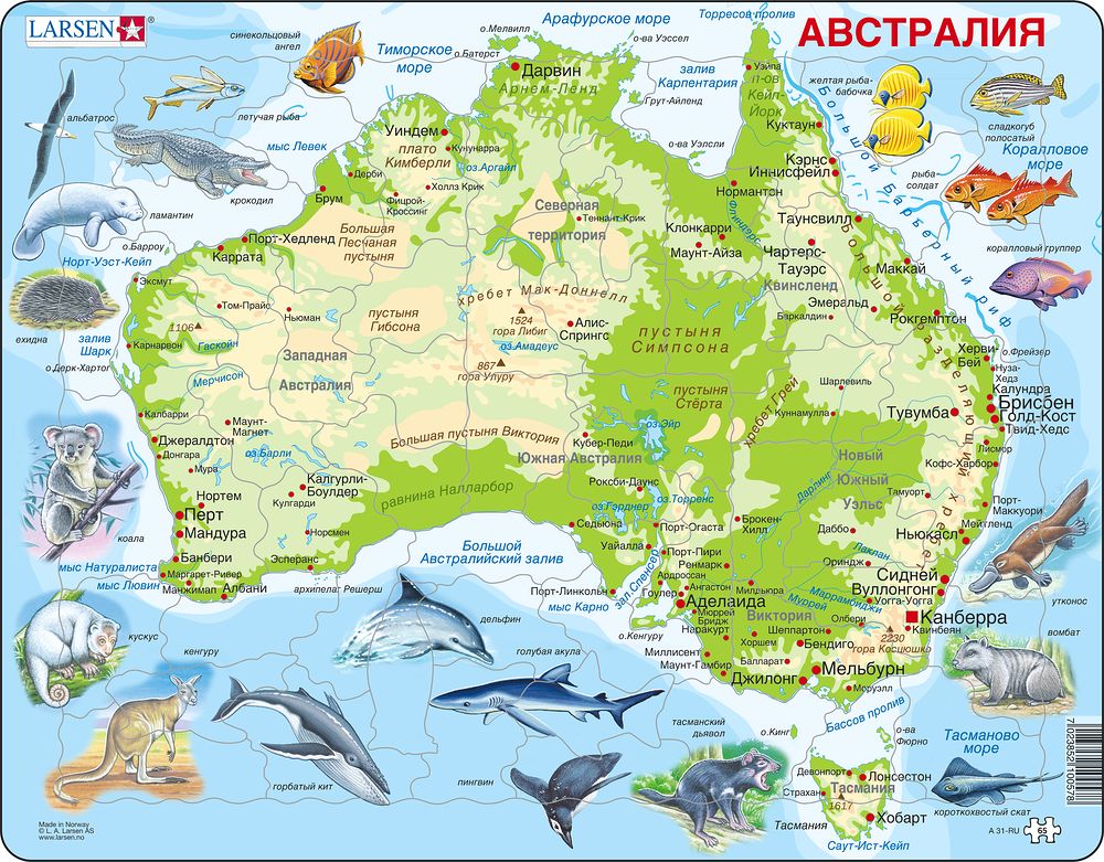 A31 - Australia Topographic Map (Russian)