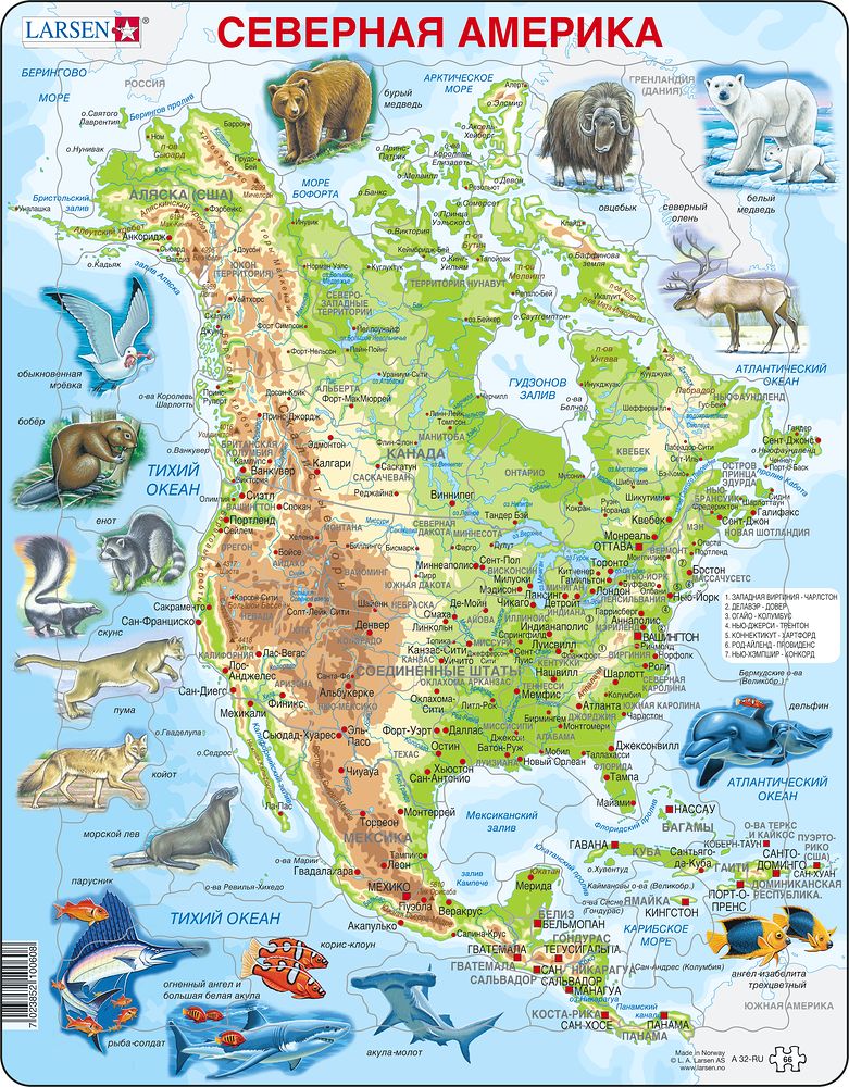 A32 - North America, Topographic map with animals (Russian)