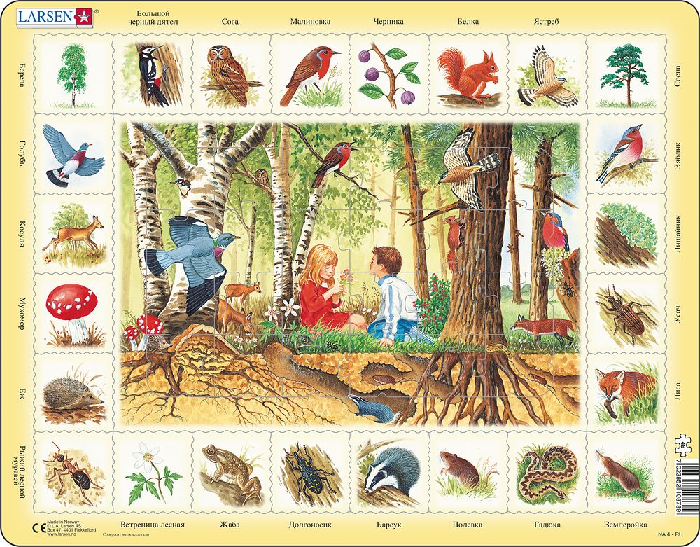 NA4 - Nature Puzzle: Forest (Russian)