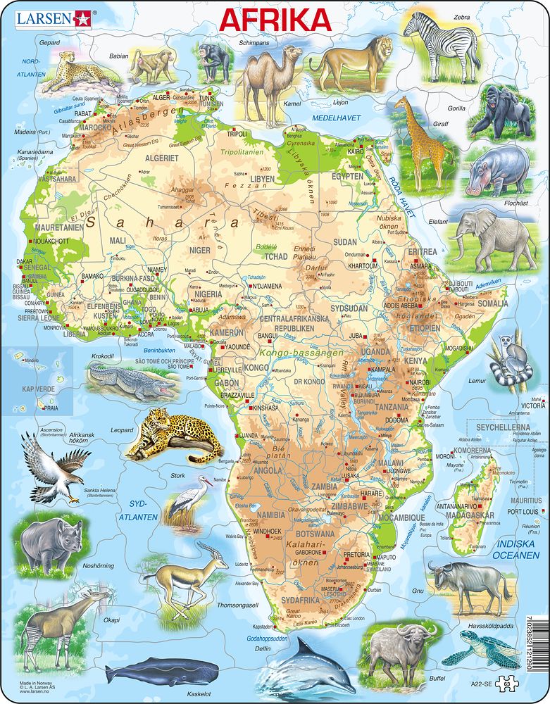 A22 - Africa Topographic Map (Swedish)
