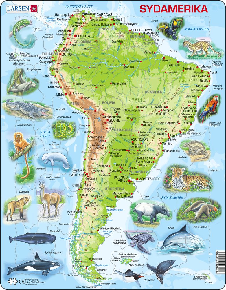 A25 - South America Topographic Map (Swedish)