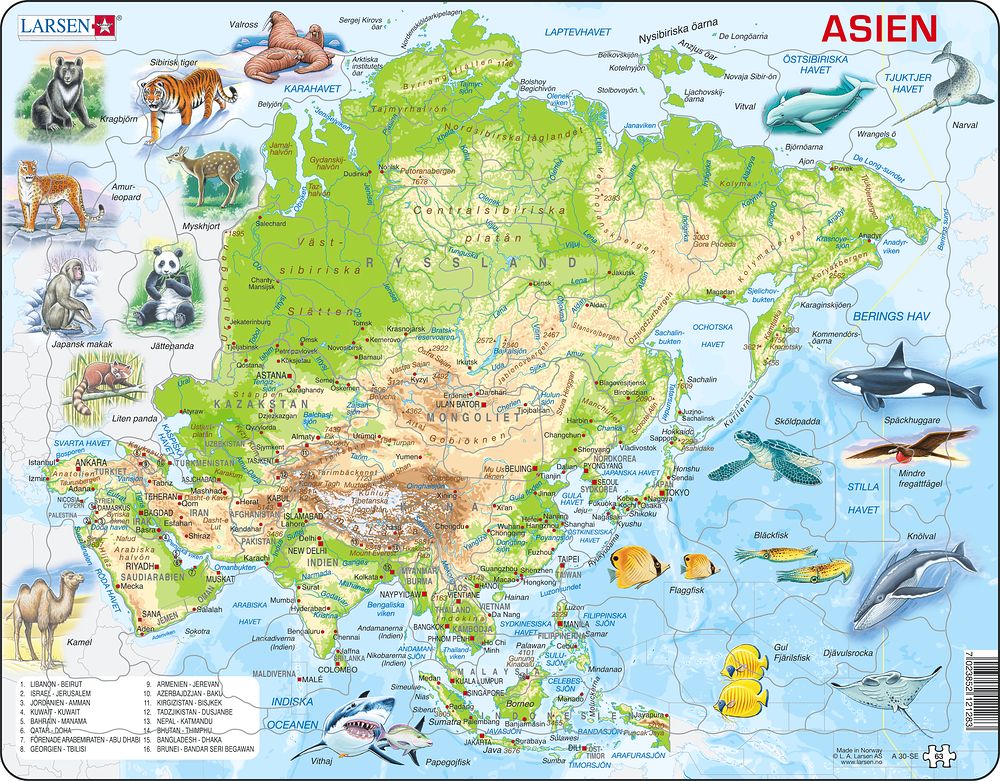 A30 - Asia Topographic Map (Swedish)