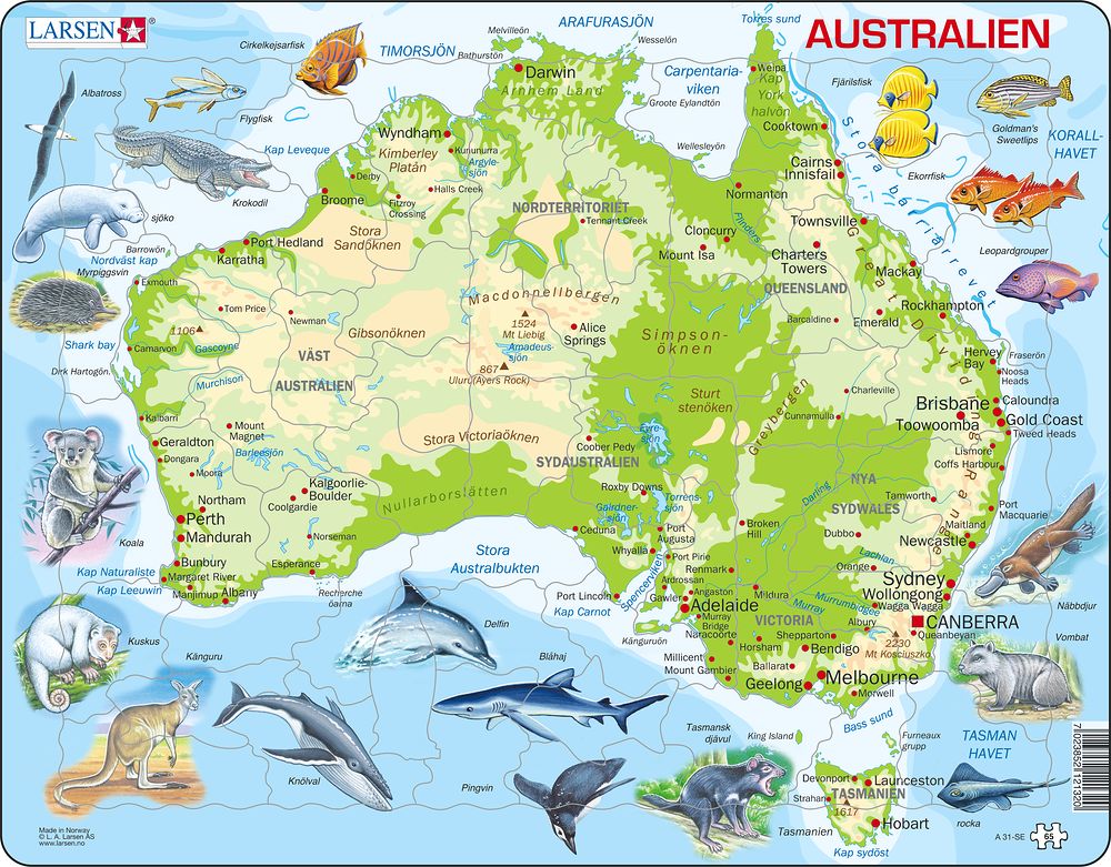 A31 - Australia Topographic Map (Swedish)