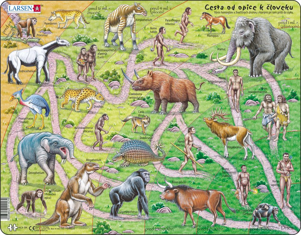 HL3 - The Road from Ape to Human (Slovak)