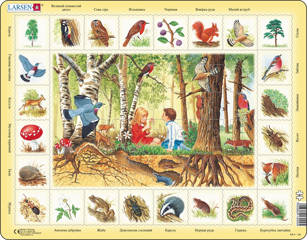 NA4 - Nature Puzzle: Forest (Ukrainian)