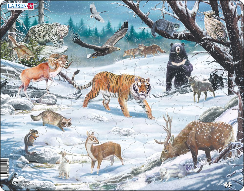 FH34 - Winter Wildlife in Siberia and Northeast Asia (Neutral)