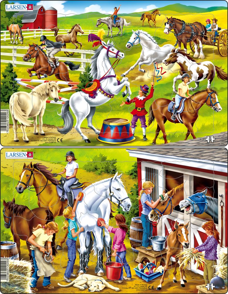 U16 - Horses (Neutral)