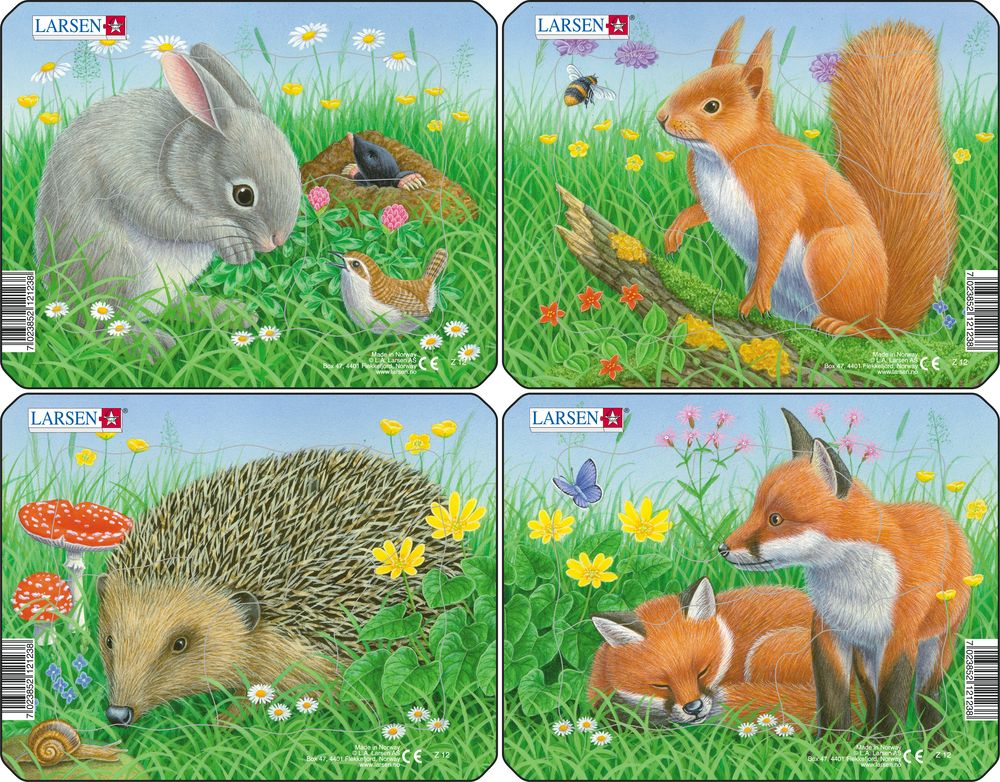 Z12 - Rabbit, Squirrel, Hedgehog, Fox (Neutral)